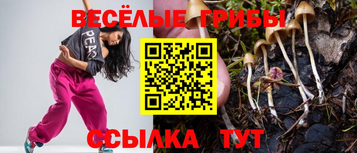 Галлюциногенные грибы мухоморы Знаменск