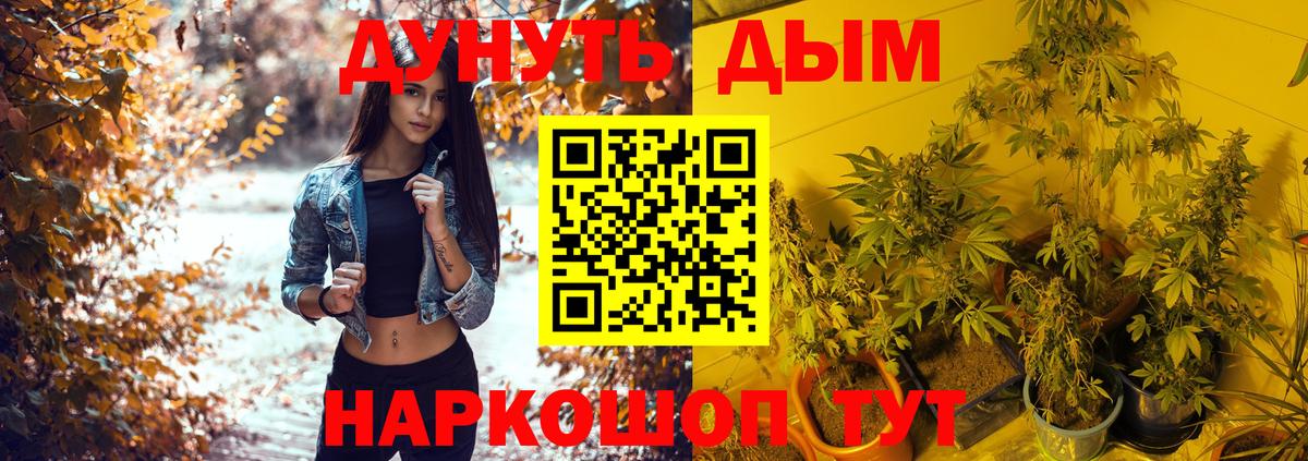 Каннабис Bruce Banner  Вход с VPN  МАРИХУАНА Amnesia  Знаменск  МАРИХУАНА сатива 